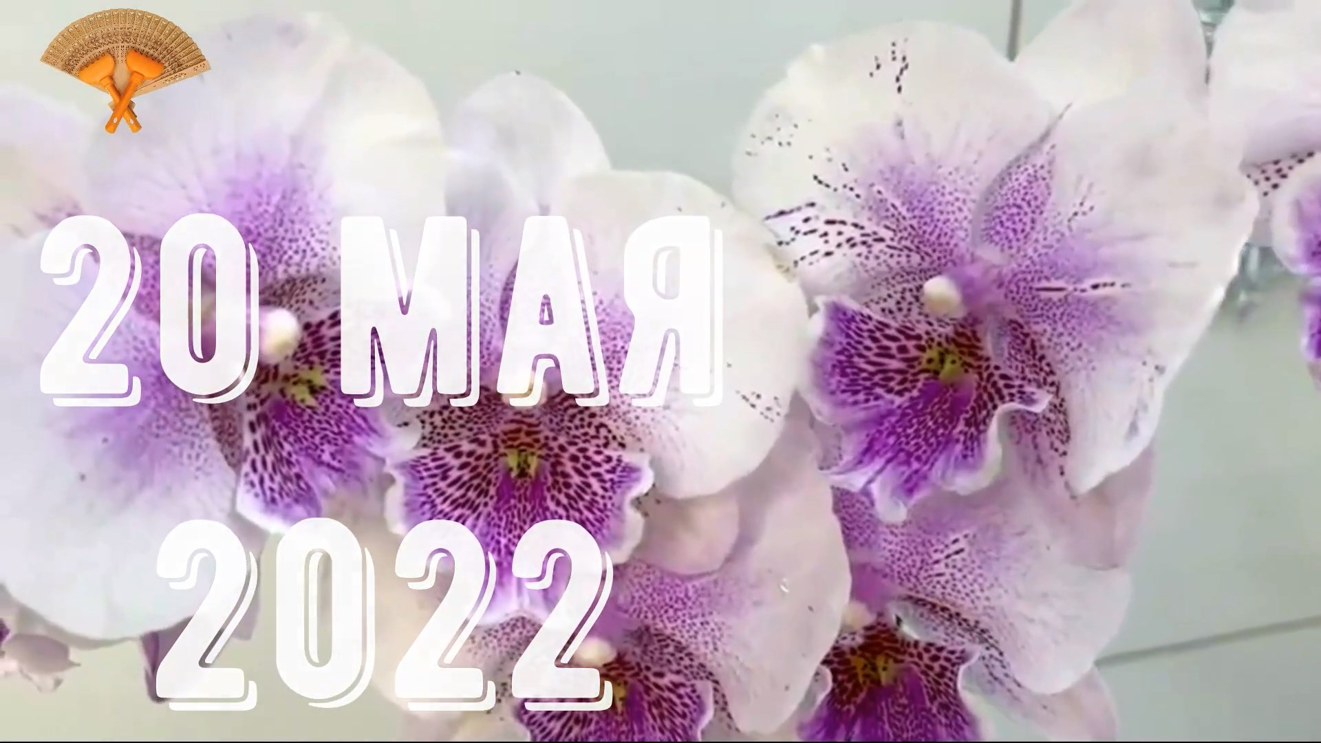 Грабли веерные Для любителей канала Грабли Лайф 20.05.2022.mp4 смотреть онлайн