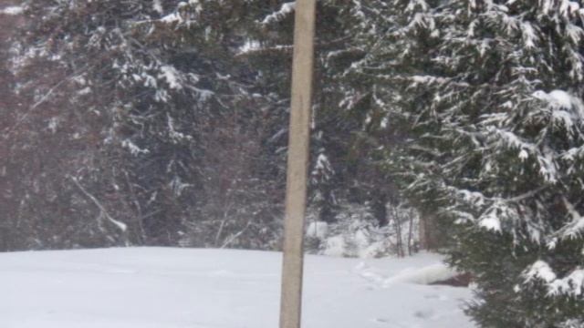 Нежданная любовь - поёт Светлана Русская смотреть онлайн