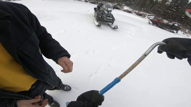 2021 Ski-Doo Expedition SWT 900 ACE Turbo First Ride смотреть онлайн