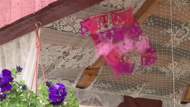 Улица Жанны Фриске в Павловском районе смотреть онлайн
