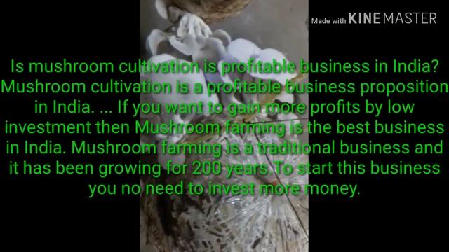 MUSHROOM CULTIVATION (AGARICUS BISPORUS) смотреть онлайн