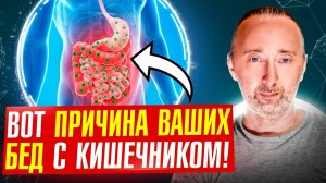 Всё дело в ферментах: Газы, вздутия, тяжесть - что же делать?