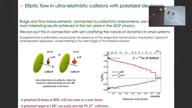 INT-18-3: P. Di Nezza, "LHCSpin" смотреть онлайн