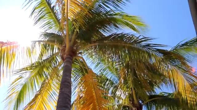 Jean & Whitney смотреть онлайн