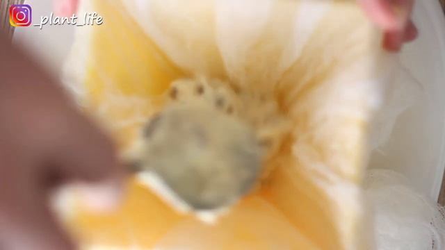 Кулинарный творческий процесс