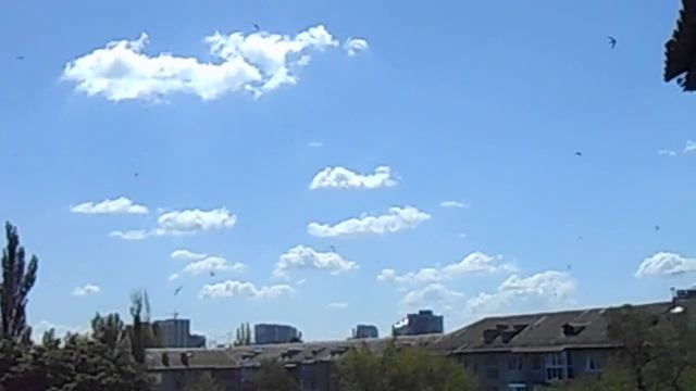 20 06 2017 и вновь залетела ласточка смотреть онлайн