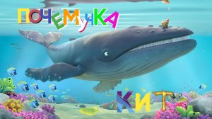 0+ Интересные факты о китах. Почемучка.