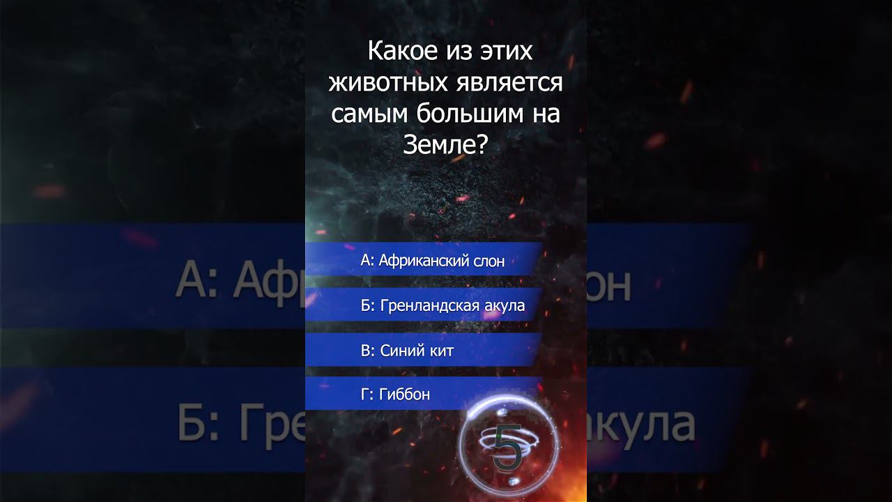 викторина. самое большое животное. смотреть онлайн