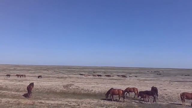 Дорога Атырау -Россия 2.05.2013г.