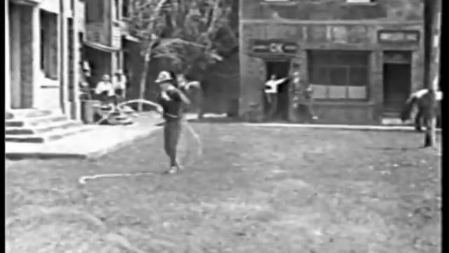 Трюки с лошадьми с использованием лассо. Видео с лошадьми. Удивительное видео. смотреть онлайн