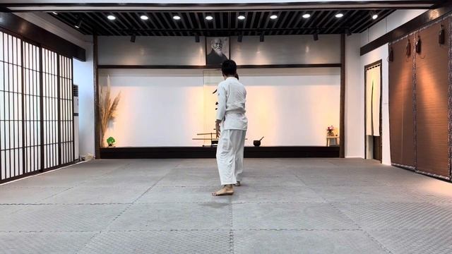 Aikido Fall