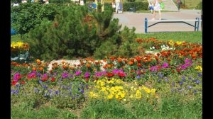 Песня про Верхнюю Пышму