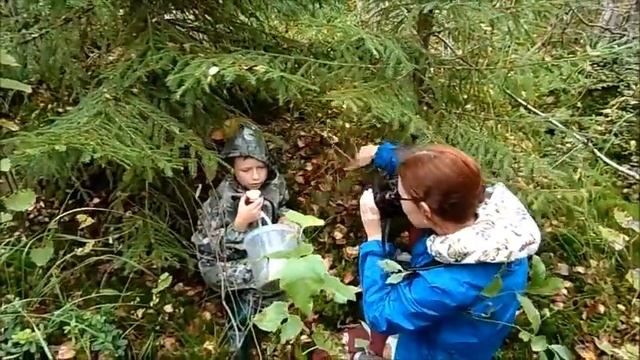 Красивый лес и грибы в Ярославской области, Прокунино, природа России, 12/09/2020 смотреть онлайн