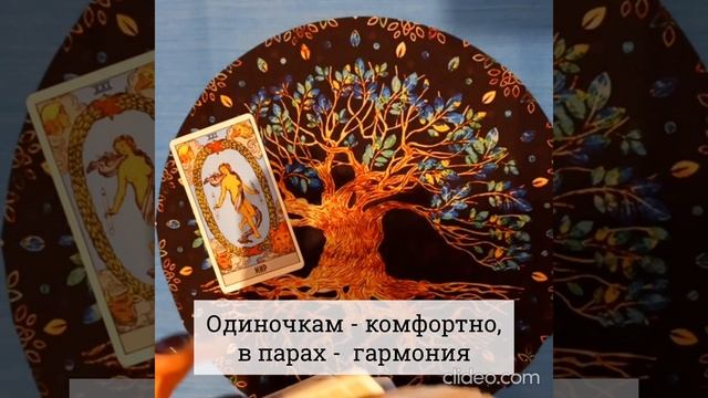 События будущей недели смотреть онлайн