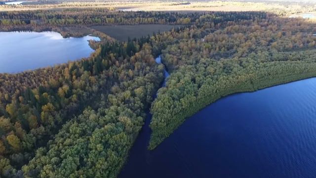 река Ляпин приток реки Северная Сосьва