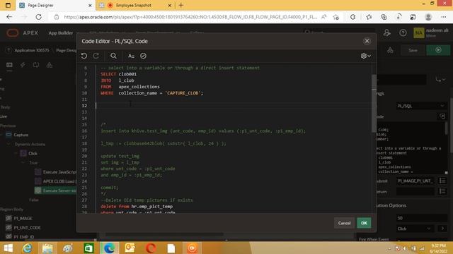 live picture insertion into database using oracle apex | Nadeem Info Tech смотреть онлайн