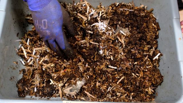 Vitamix Eco 5 output in a Worm Bin Successful? смотреть онлайн