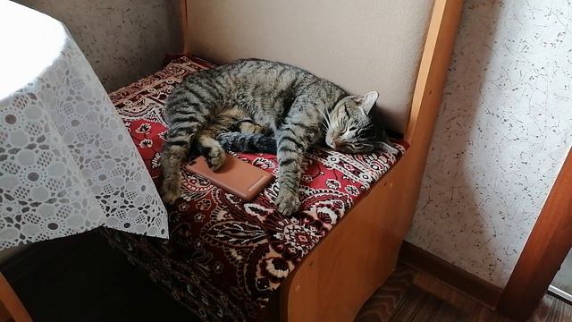 Умиротворение смотреть онлайн