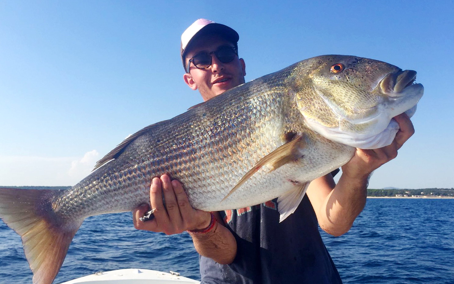 Дентич (первая часть) смотреть онлайн