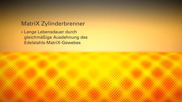 Gas Brennwertheizgerät Vitodens 200 W смотреть онлайн