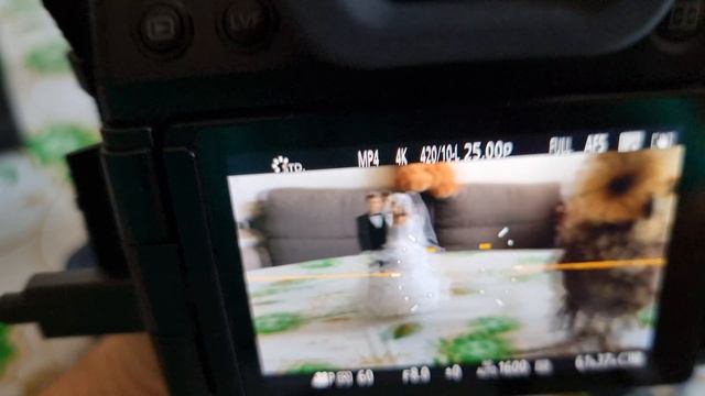 PANASONIC Lumix S5 II X, первый краткий обзор, все его ждали, все его хотели смотреть онлайн