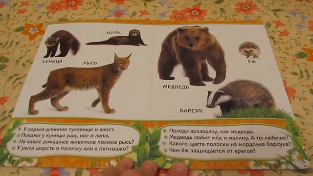 Всё всё всё для малышей Кто живёт в лесу Росмэн смотреть онлайн