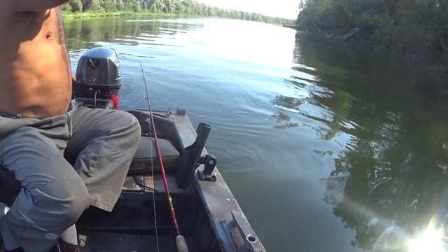 "Донской Гигант, трофей пойман!" 31.08.2022, река Дон смотреть онлайн