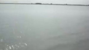 Июль.Рыбалка на оз.Сунгуль.Карп на 5кг.