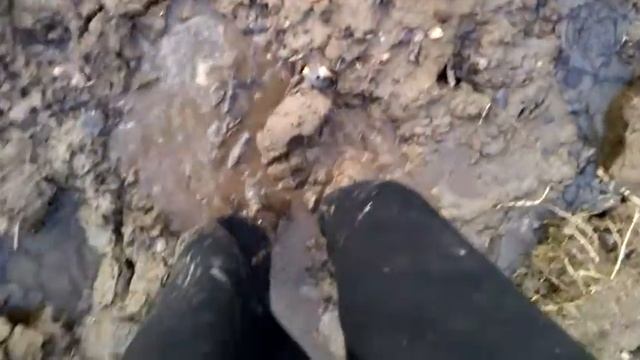 Покатушки на квадроцикле удались! смотреть онлайн