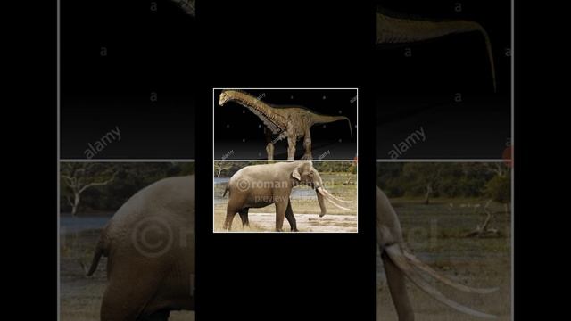 Diplodocus vs Palaeoloxodon смотреть онлайн