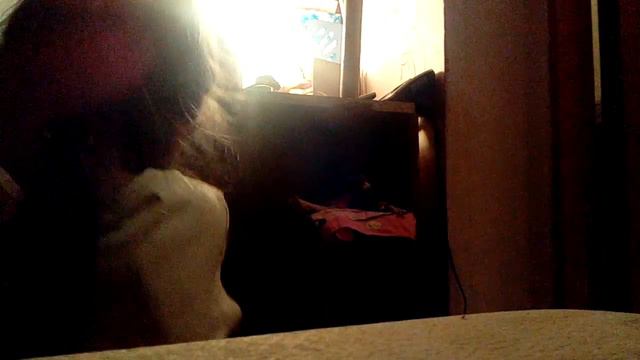 Сабина мою мою Мою маму зовут мама махрипа и мы родились в следующем городе Я поражаюсь Живу я в ка