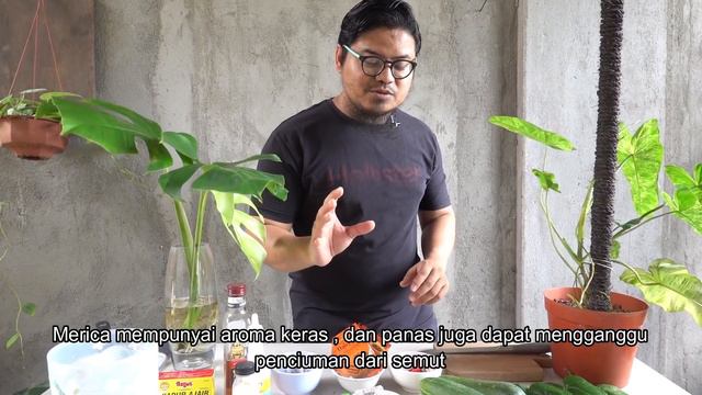Bahan Bahan Dapur Untuk Mengusir Semut tanpa Membunuhnya, Semut Tak Boleh dibunuh Saya Baru Tahu 😀 смотреть онлайн