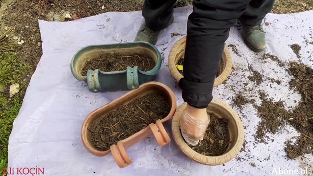 EVDE SAKSIDA KUZU GÖBEĞİ (MORAL MUSHROOM) YETİŞTİRME смотреть онлайн
