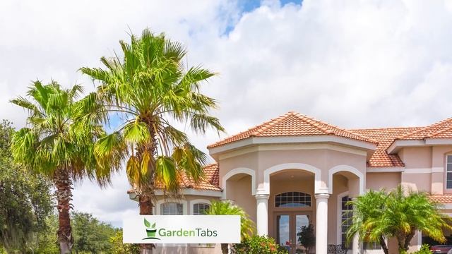 35 Palm Tree Garden Ideas смотреть онлайн