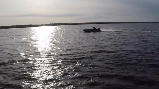 Catmarine BX400 смотреть онлайн