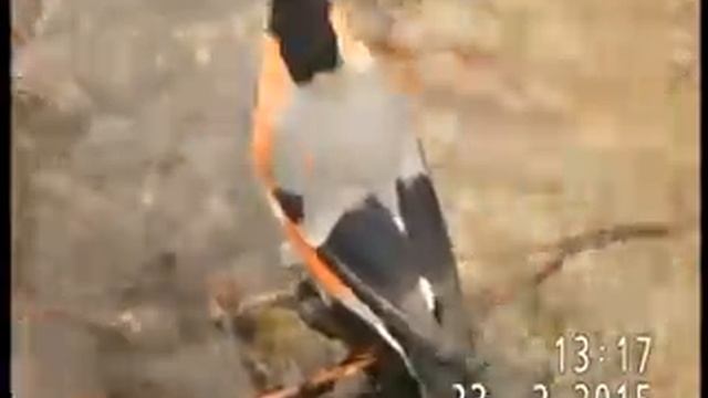 СНЕГИРЬ В ФЕВРАЛЬСКОМ РУЧЕЙКЕ КУПАЕТСЯ С ВОСТОРГОМ смотреть онлайн