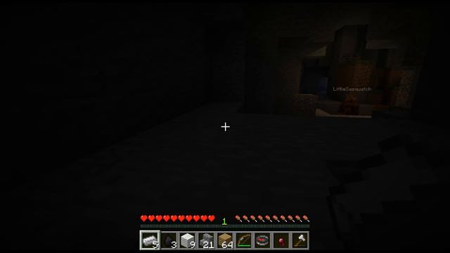 epi 39: The Grass Is Always Greener / Mary and Dad's Minecraft Adventures смотреть онлайн