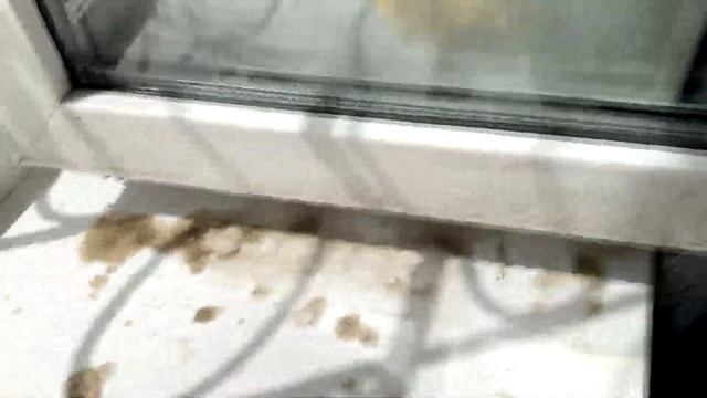 Как помыть окна без химии / пароочиститель KERSHER S4 смотреть онлайн