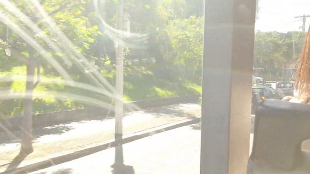 Nuline #78 Mercedes O405NH Volgren CR225L смотреть онлайн