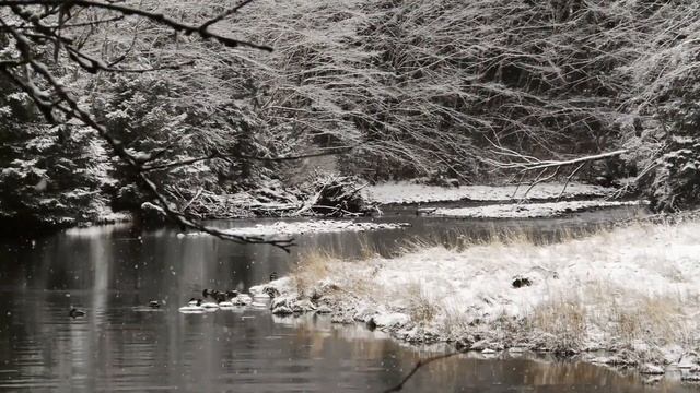 ЗВУК СНЕГА ❄ 30 минут падающего снега для хорошего СНА ? смотреть онлайн