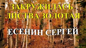 Стихотворение «Закружилась листва золотая» Есенин Сергей