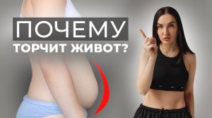 Почему торчит живот?
