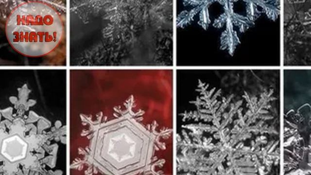 Почему не бывает одинаковых снежинок? смотреть онлайн