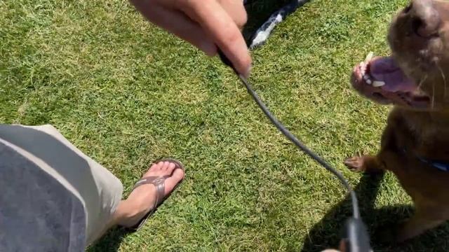 Naenka Bone Conduction Headphone смотреть онлайн