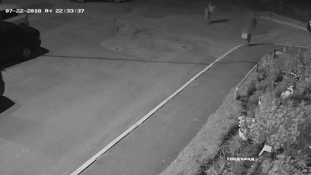 В Йошкар-Оле мужчина разорил клумбу ради возлюбленной смотреть онлайн