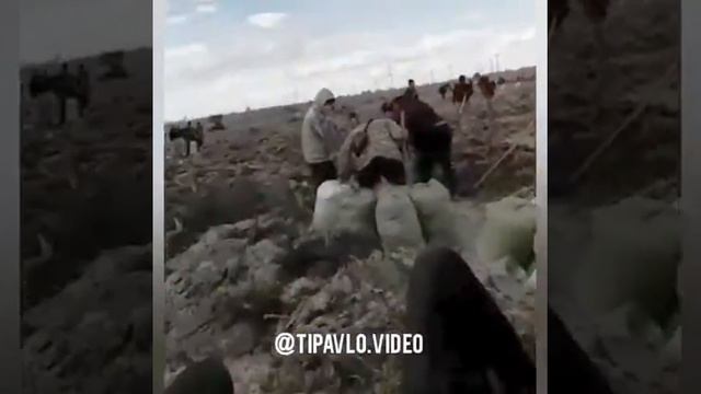 Золодобыча под Аксу глазами старателей смотреть онлайн