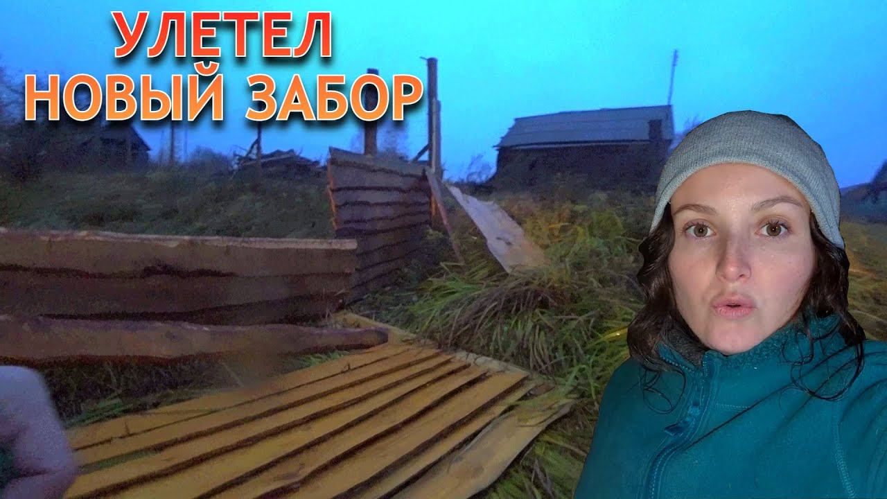 Новый забор НЕ ВЫДЕРЖАЛ И УЛЕТЕЛ. Закрыли полностью ВАТНЫЙ ДОМ. Еще одна прогулка верхом на лошади смотреть онлайн