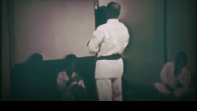 Famous Students Of Miyagi Chojun Sensei