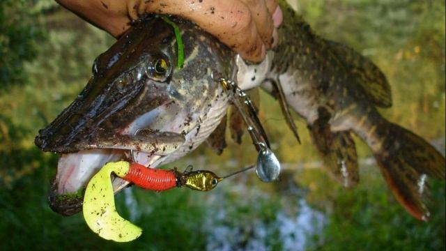 ? ЛОВЛЯ С ЛОДКИ ТРОЛЛИНГОМ. смотреть онлайн