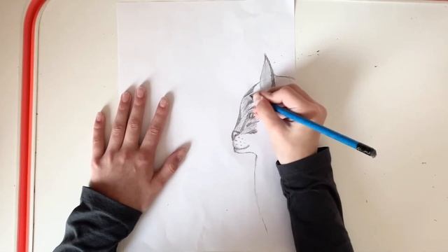 Рисуем кота боком смотреть онлайн